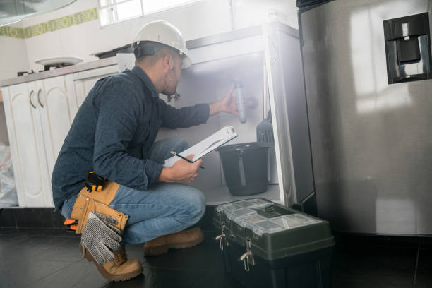 Best Plumbing Inspection Services  in Millis Clicquot, MA